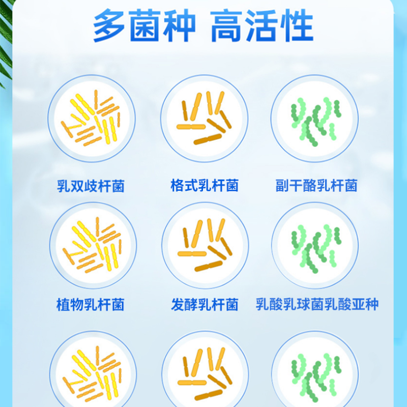南京同仁堂福记坊益生菌调理肠胃肠道冻干粉7袋*3g装正品高清大图