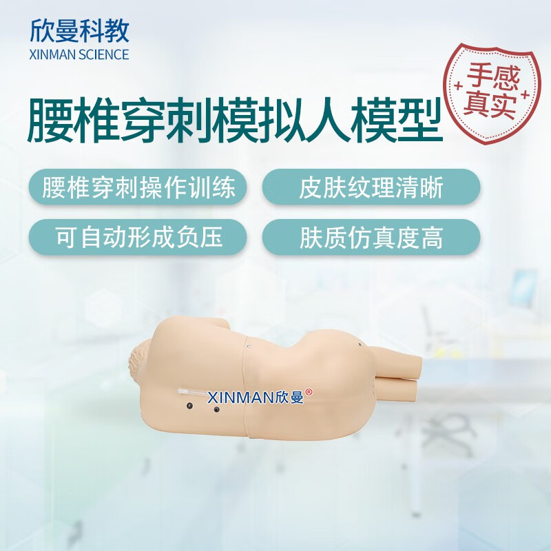 欣曼科教 腰椎穿刺模拟人 教学用腰椎穿刺训练模型XM-YC02
