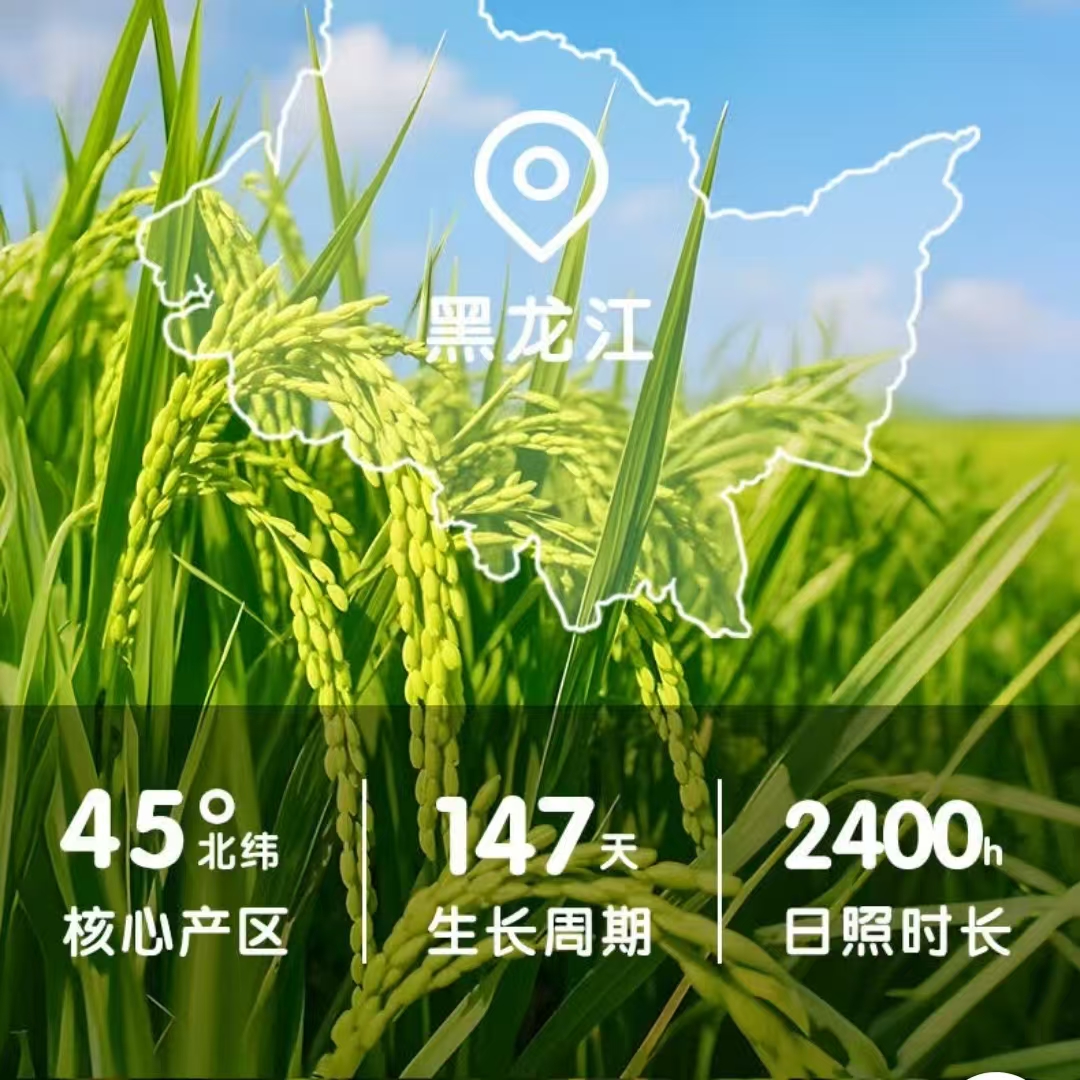咪然咪然五常大米 原粮稻花香2号 5KG高清大图