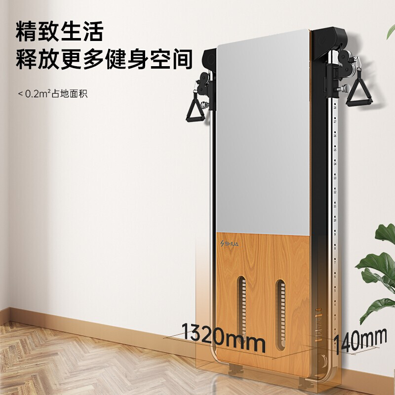 舒华(SHUA)SH-G699 健身镜训练器 壁挂式拉绳训练器家用综合训练器多功能室内健身器材高清大图