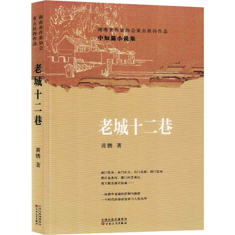 正版新书]老城十二巷黄镌 著9787530685877高清大图