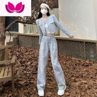 七斓小香风小个子阔腿裤子套装女初秋季2023新款早秋高级感阔 S 灰色