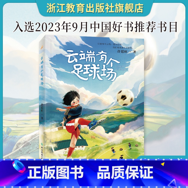 云端有个足球场 【正版】云端有个足球场 许廷旺著 8-10-12小学生一至四年级青少年课外阅读 中国当代儿童文学成长励文