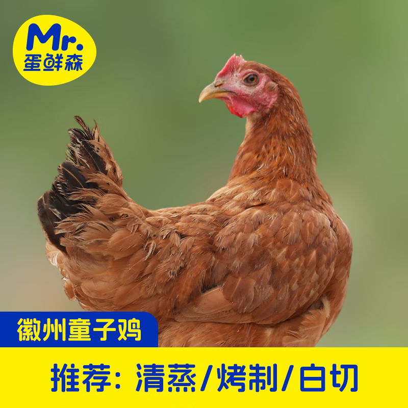 蛋鲜森徽州童子鸡1000g±50g/只 0激素0抗生素0重金属残留 清蒸烤制白切