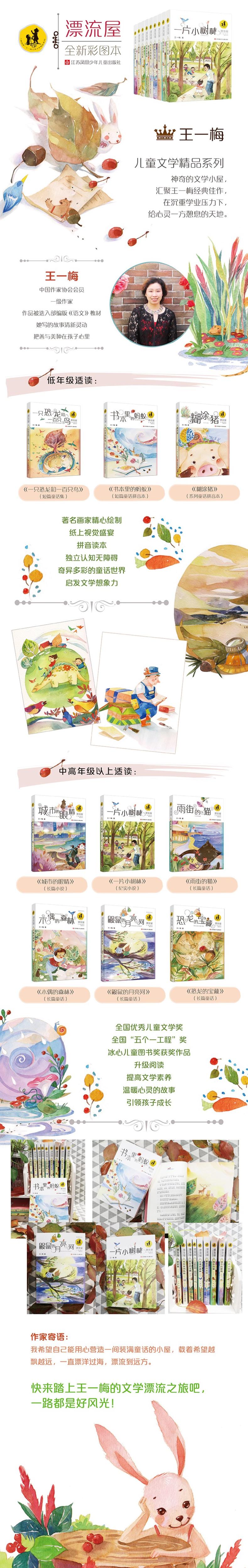 “漂流屋”王一梅儿童文学精品系列--恐龙的宝藏高清大图