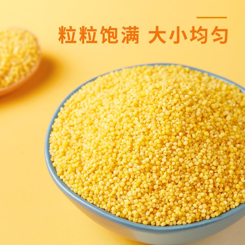 十月稻田(SHIYUEDAOTIAN) 山西黄小米500g*3袋 山西特产小米 原粮产自山西长治高清大图