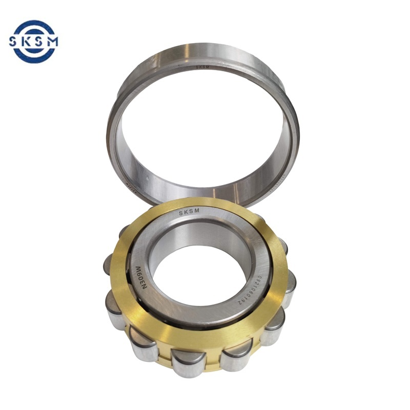 SKSM圆柱滚子轴承N309W高清大图