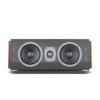 Hivi/惠威 rm600MKII 音箱一只 家庭影院家用音响套装客厅5.1木质音箱