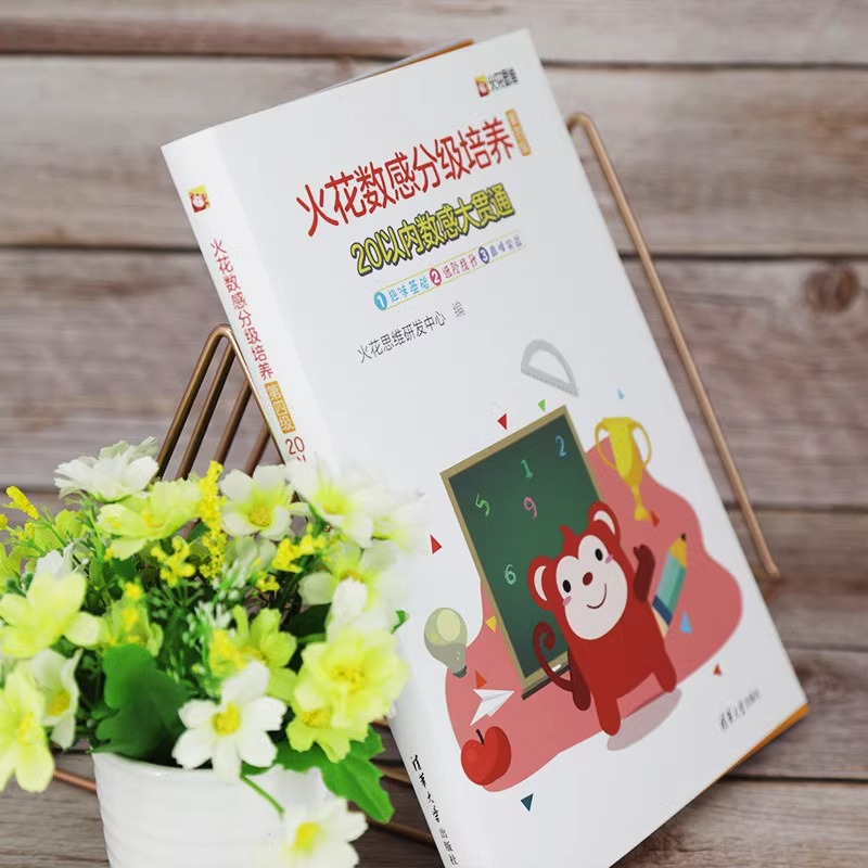 [正版图书]火花数感分级培养第四级20以内数感大贯通6-12岁儿童数学启蒙 幼小衔接整合教材 一年级入学准备幼儿园数学加高清大图