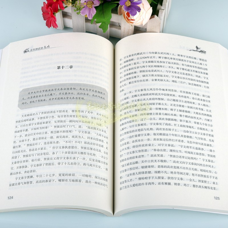 [正版]北齐神武帝高欢 中国历代帝王高欢传记人物生平 李志国著中国书籍出版社