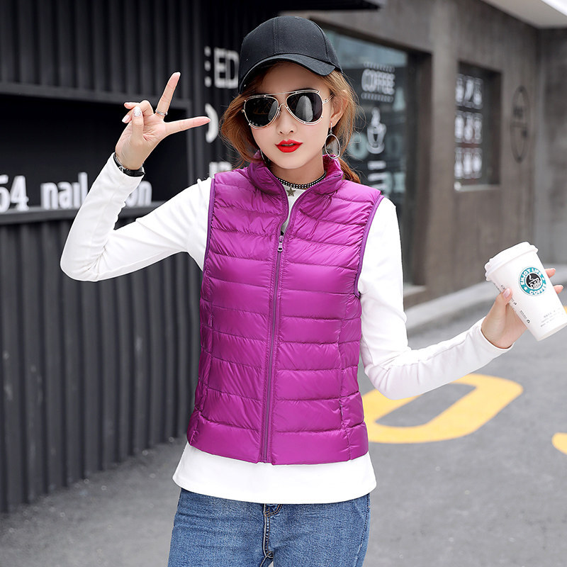 迪鲁奥（DILUAO)40岁妈妈穿的锦纶服短款服2020年秋季冬新款立领轻薄马夹内胆坎肩大码拉链外套 紫色 3XL