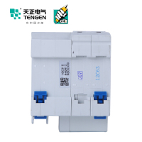 天正电气 DZ47LE-63 2P 30mA 热磁式 230VAC 01070020460 微型漏电保护断路器