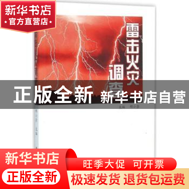 正版 雷击火灾调查 邢小崇主编 山西人民出版社 9787203088547 书高清大图