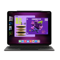 Apple iPad Pro 11英寸2022年款(128G WLAN+蜂窝网络版/M2芯片MNYP3CH/A) 银色