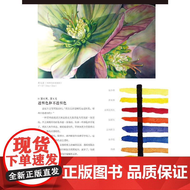 正版 365个水彩的诀窍 西方经典美术技法译丛 水彩画技巧 学习水彩绘画指南 水彩绘画教程 水彩画教材 上海人民美术高清大图