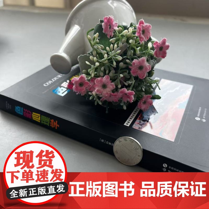 色彩心理学 英 孙孝华多萝西孙 性格色彩心理学书 如何用正确的色彩获得平衡健康和幸福 色彩疗法心理学 西安世图高清大图