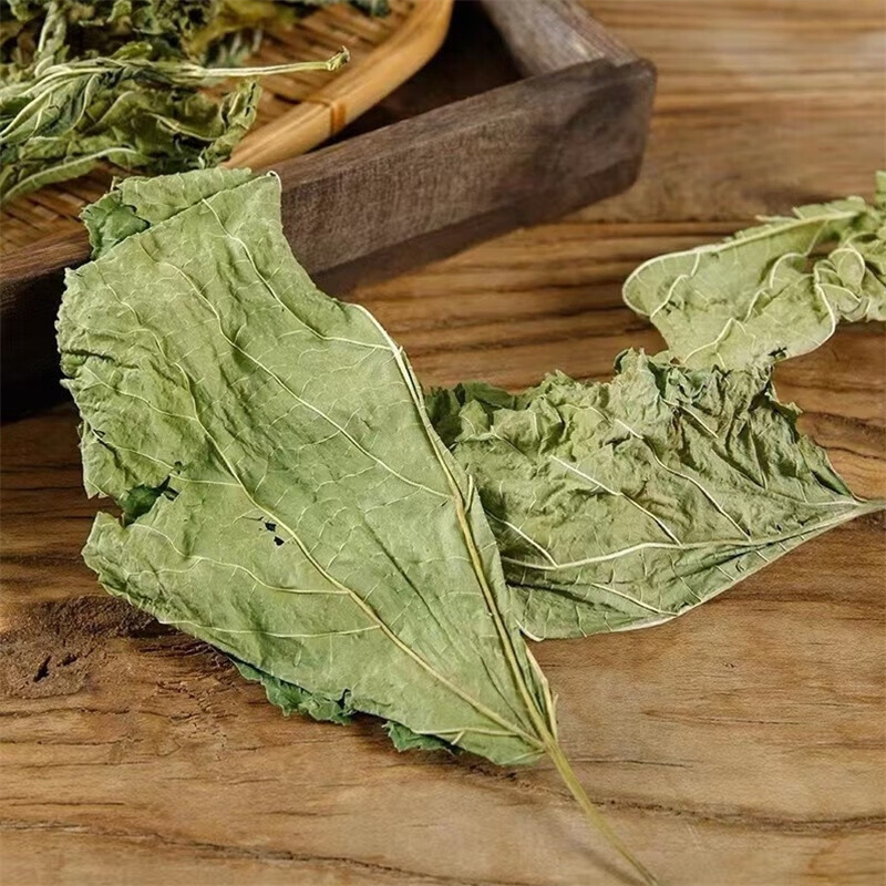 甄选桑叶100克精选养生茶干货新货煮水泡茶官方店白菊花薄荷叶甘草高清大图