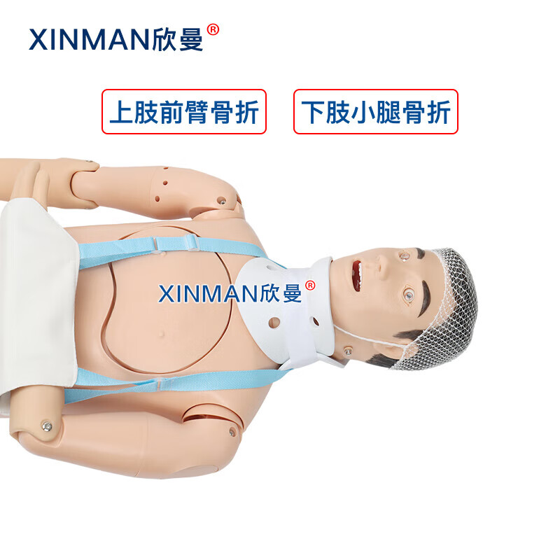 欣曼科教 四肢骨折固定训练模拟人 上肢前臂骨折 下肢小腿骨折XM-GZ800高清大图