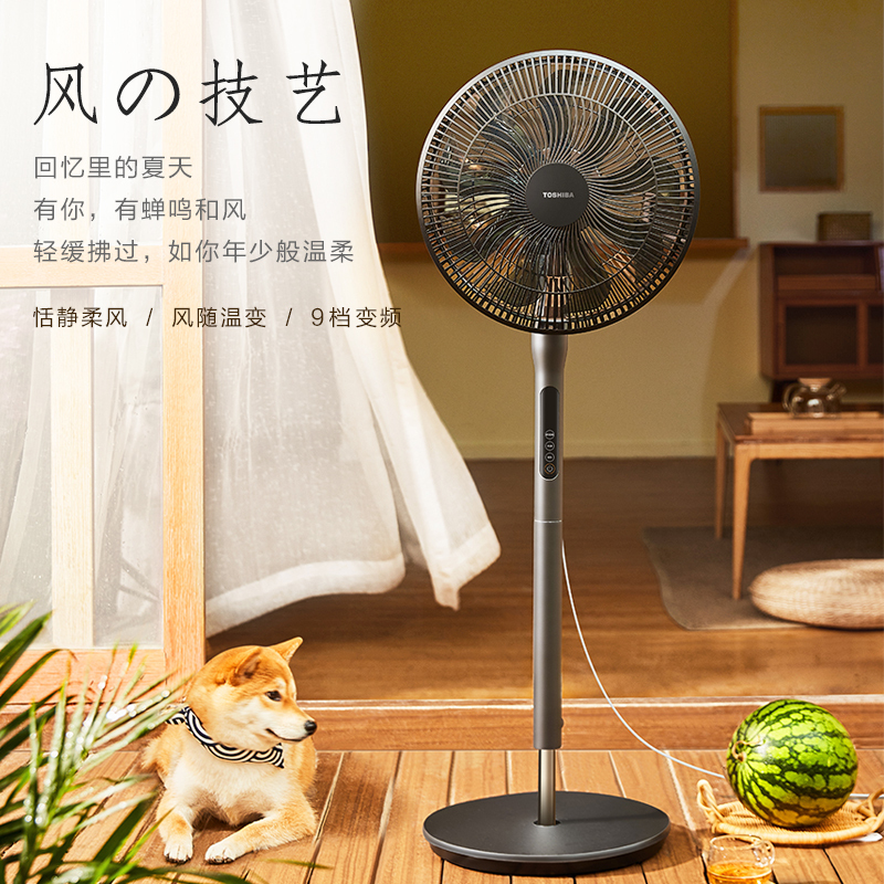 东芝(TOSHIBA)F-DSX35BR风柔音轻变频自然风遥控摇头母婴适用安全家用电风扇办公室亲肤节能扇空气循环扇落地扇