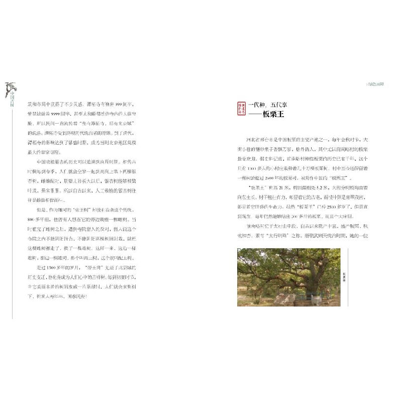 正版新书]中国古树:绿色文物的传奇故事中央电视台9787548076780高清大图