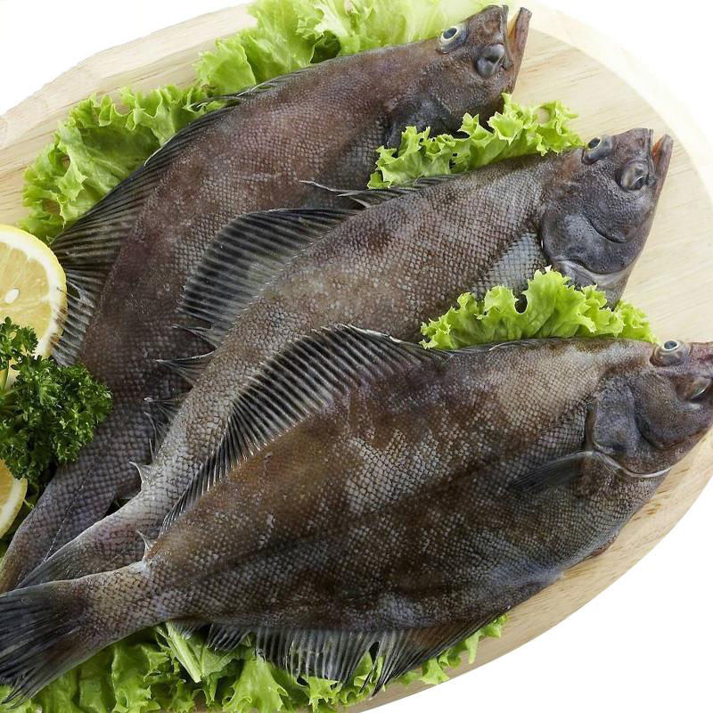 每条300-380g[去内脏净重] 三条鲽鱼整条比目鱼带头去脏鱼深海鲽鱼