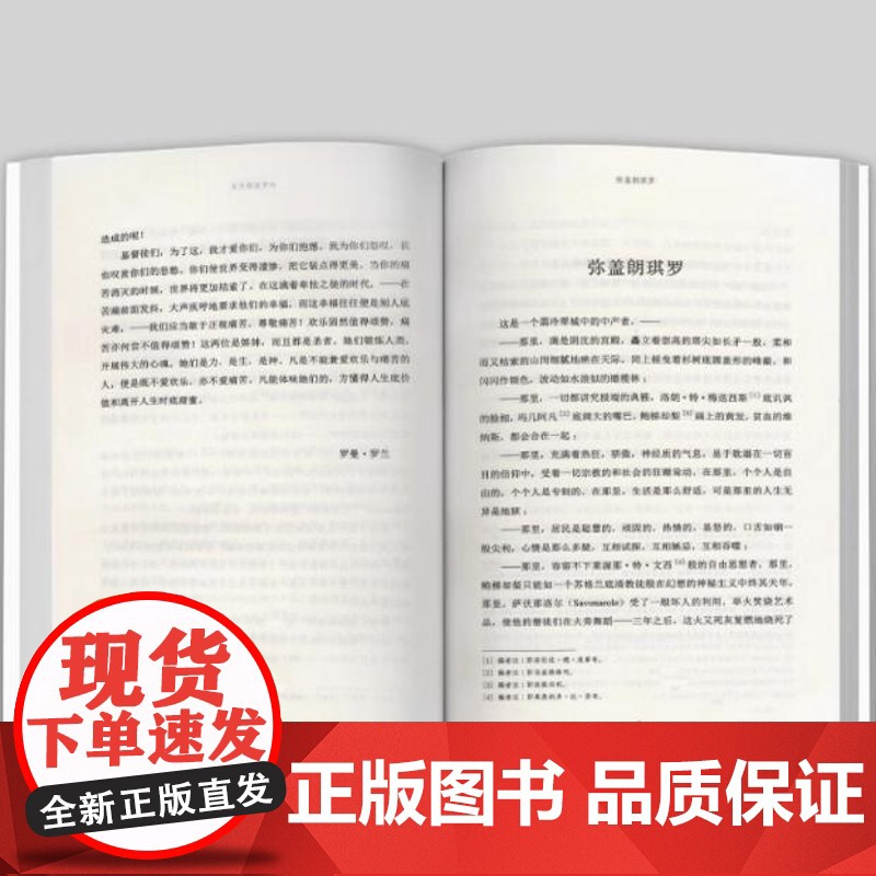[彩图本]米开朗琪罗传 罗曼·罗兰 著 傅雷翻译书籍高清大图