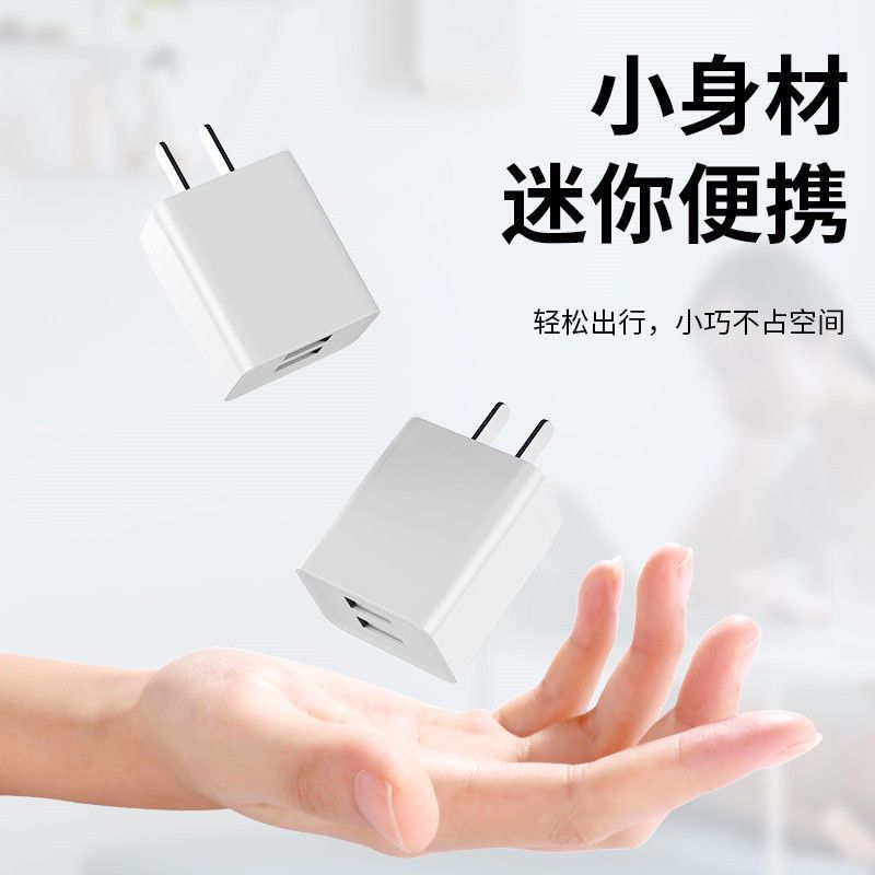 2a双口充电器快充充电头多口安卓华为oppo智能手机通用多用双usb|-2A单口充頭 [-2米苹果iPhone线]