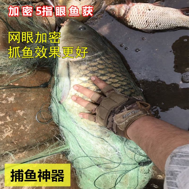 [优先发货]鱼网粘网三层渔网丝网挂网拦河工具渔具沾网粘鱼网网鱼网图片