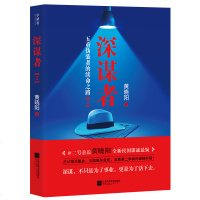 正版 深谋者2 黄晓阳著 《阳谋高手》《高手过招》作者作品权谋术官场学谋略术官场小说阴谋论王阳明 磨铁