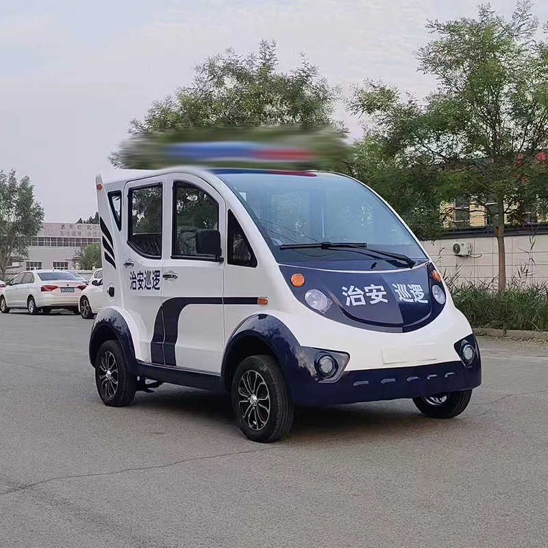 新速丁 电动巡逻车SX高清大图