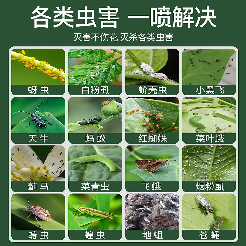 杀虫药花卉植物杀虫剂花草蚜虫月季花病虫害室内花喷雾除虫剂2瓶装高清大图