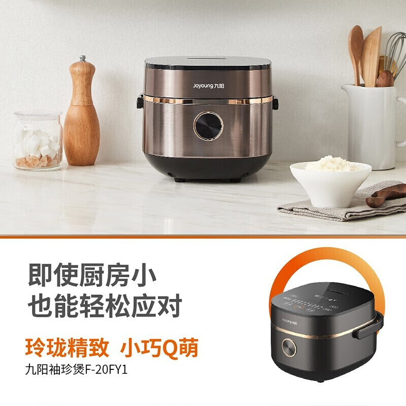 九阳 F-20FY1 电饭煲 2L高清大图