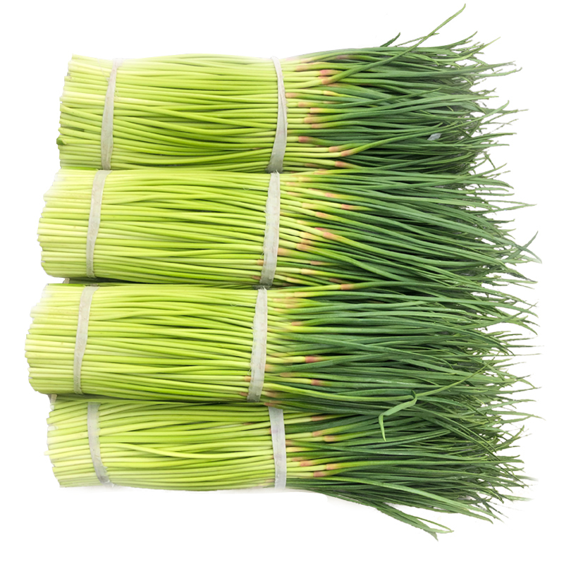 新鲜蒜苔农家自种青蒜苗当季蔬菜蒜薹蒜毫本地批发5斤侬田社5斤精品装