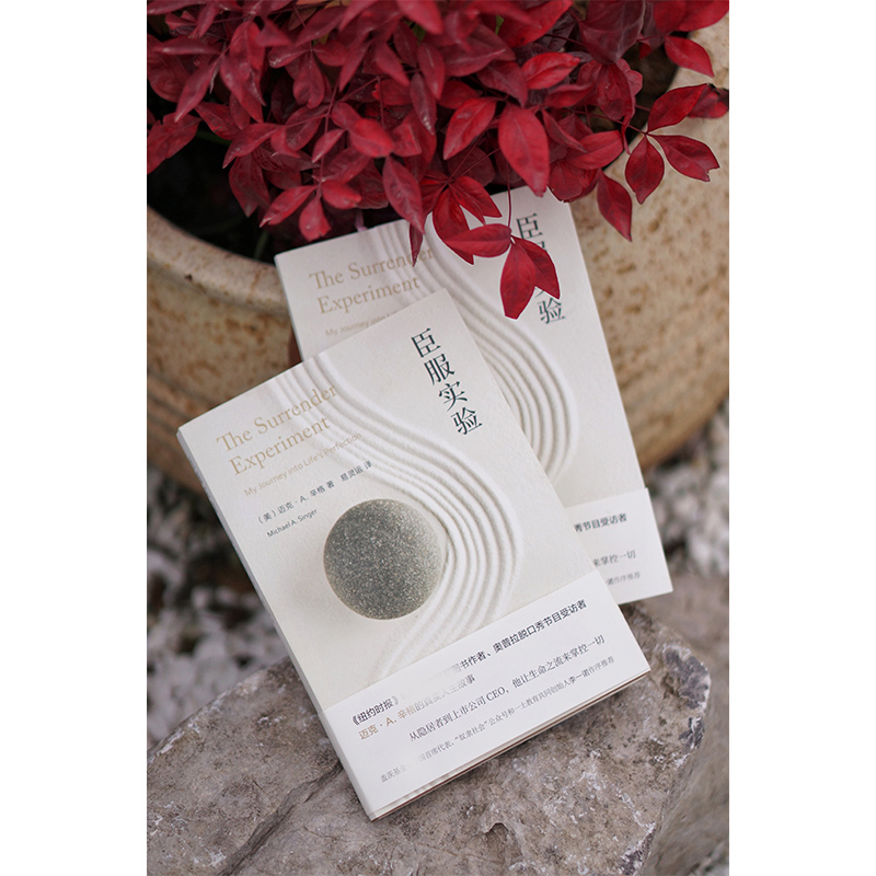 臣服实验 [正版]臣服实验 简版从隐居者到上市公司CEO的人生智慧与修养解答人生困惑启发无数人的心灵导师迈克辛格自述传奇高清大图
