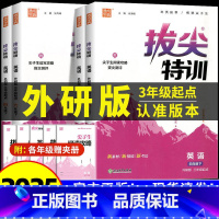 [青岛版(54制)]数学 四年级上 [正版]2025春外研版三年级起点英语练习册小学拔尖特训外研社一二三四五六年级上册下