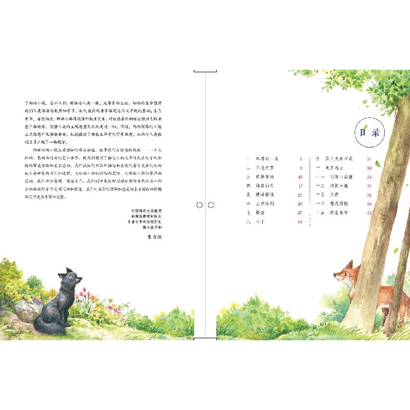 正版新书]西顿动物小说全集:彩绘版•银狐托米欧·汤·西顿9787544高清大图