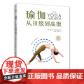 瑜伽：从初级到高级 正版书籍