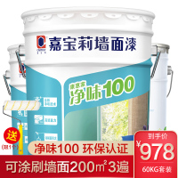 嘉宝莉CARPOLY 内墙乳胶漆 康惠家净味100墙面漆 20kg亚光面漆