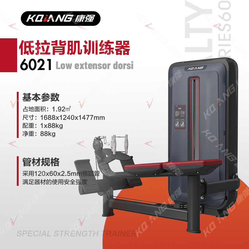 康强低拉背肌训练器6021商用健身器材健身房团购综合训练器高清大图