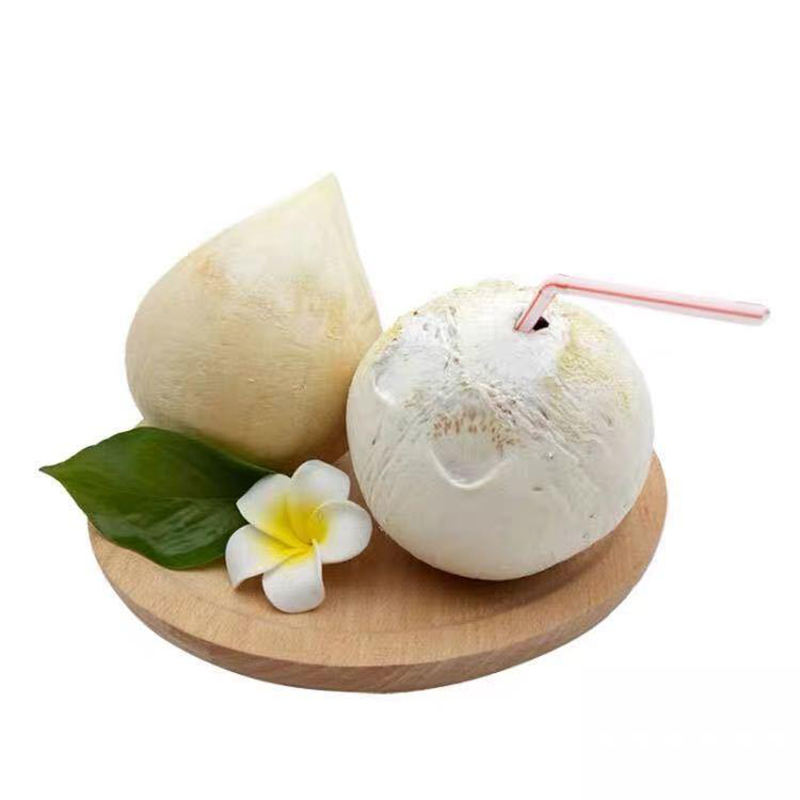 【西沛生鲜】海南牛奶椰皇 4个装中果 单果500-750g 新鲜椰子 当季热带水果 汁水充沛
