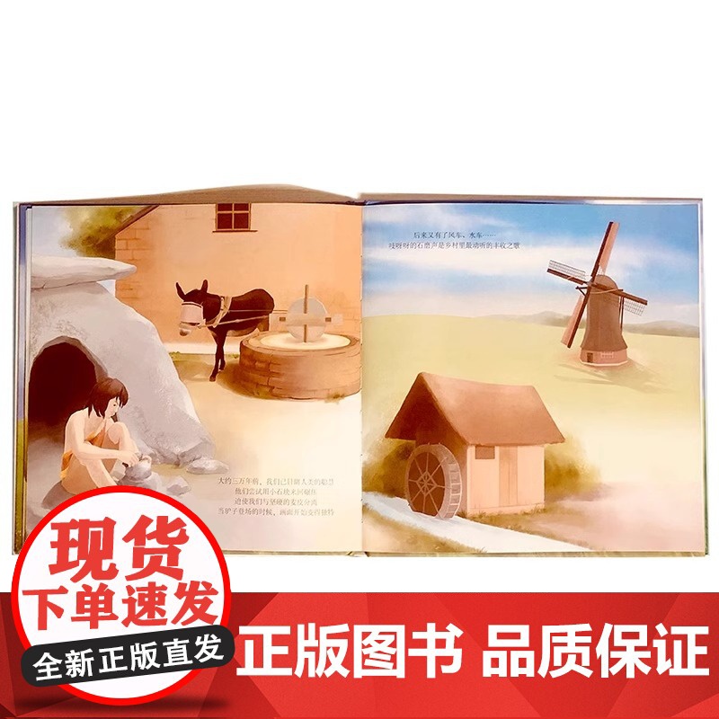 关于食物一个馒头的故事精装硬壳它们是怎么长出来的了解蔬菜种植的过程揭开植物生长的奥秘小麦高清大图