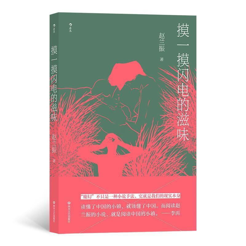 [醉染正版]正版 摸一摸闪电的滋味赵兰振书店小说书籍 畅想书高清大图