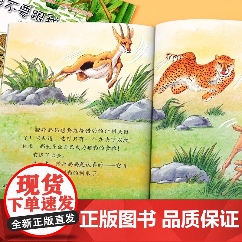 雁儿往南飞 幼儿园绘本书阅读3-4-6岁 儿童科普读物科学启蒙睡前故事书 老师三到四五岁宝宝启蒙阅读图书儿童启蒙故事书籍高清大图