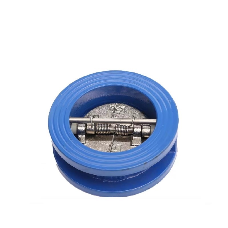 伟鹏双兴 铸铁对夹式止回阀 DN200 台高清大图