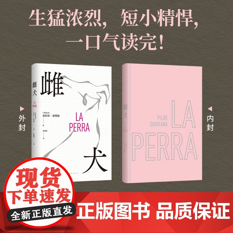 雌犬 皮拉尔·金塔纳 取材十年丛林生活 女人 母狗与吞噬一切的丛林 生猛浓烈 拉美文学小说 新经典图书高清大图