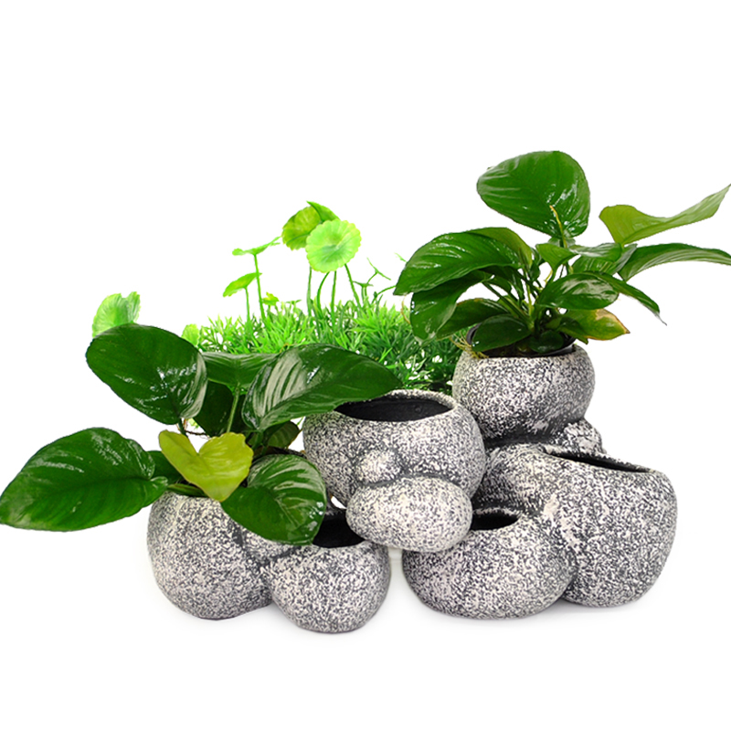 慈鲷石鲷罐多功能石头花盆鱼缸装饰造景过滤净水慈鲷躲避石繁殖石高清大图