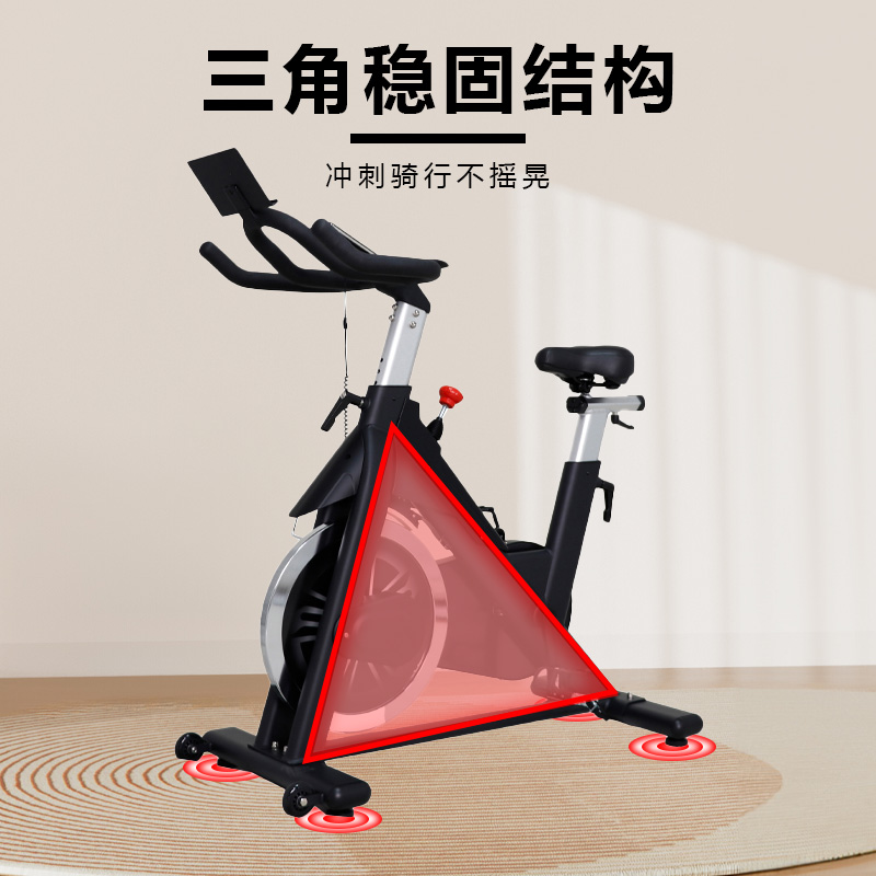 晟渊 家用动感单车健身车家用脚踏车室内运动自行车锻炼健身器材 YP013J高清大图