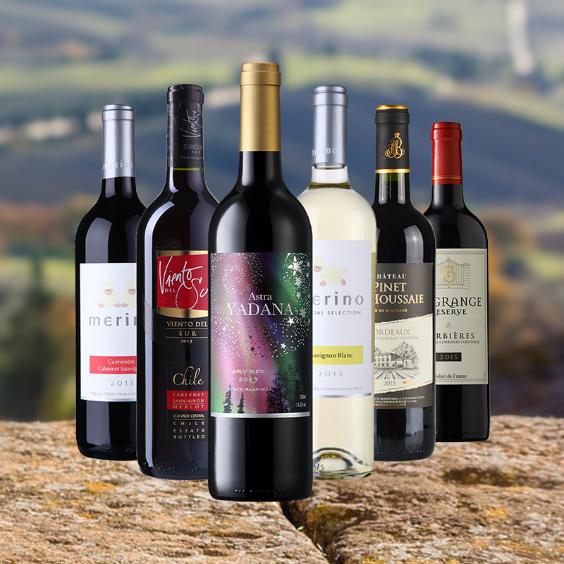 智利进口红酒 美丽羊·6款原装进口葡萄酒整箱组合装 750ml*6瓶
