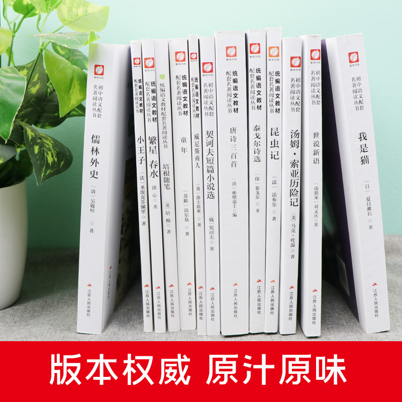 [九年级上]水浒传 [正版]朝花夕拾骆驼祥子昆虫记钢铁是怎样炼成的艾青诗选简爱呼兰河传鲁滨逊漂流记 七八九年级上下册 初