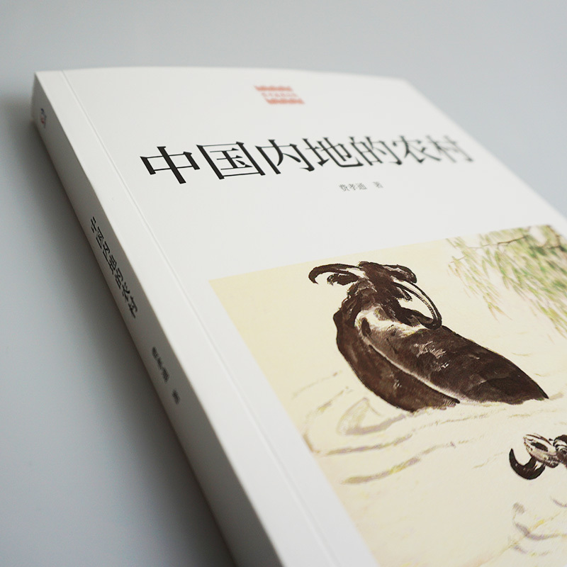 [正版]中国内地的农村 费孝通 农村经济发展 农村出路 农村未来 乡土中国